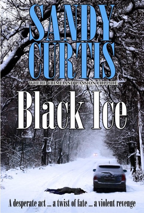 Cover image for book Black Ice