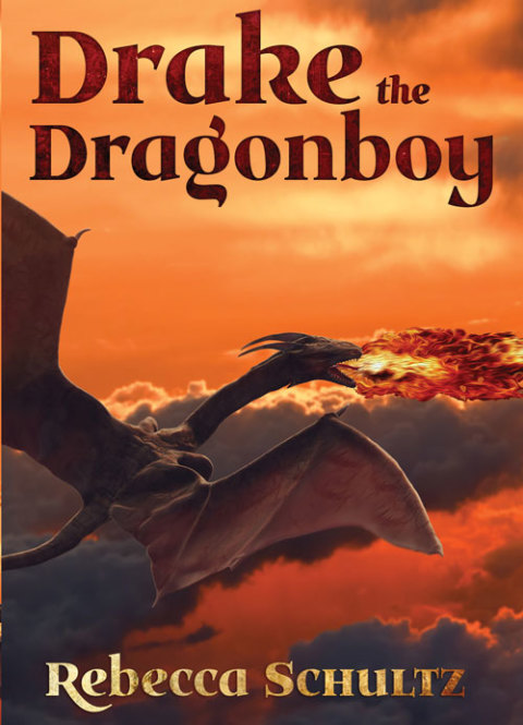 Cover image for book Drake the Dragonboy