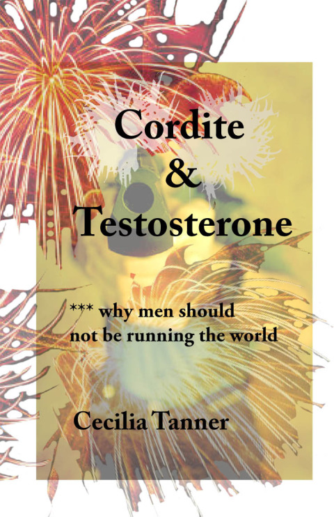Cover image for book Cordite & Testosterone - Why Men Should Not Be Running the World