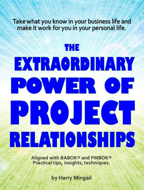 Cover image for book The Extraordinary Power of Project Relationships