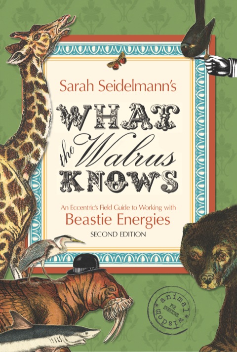 Cover image for book What the Walrus Knows