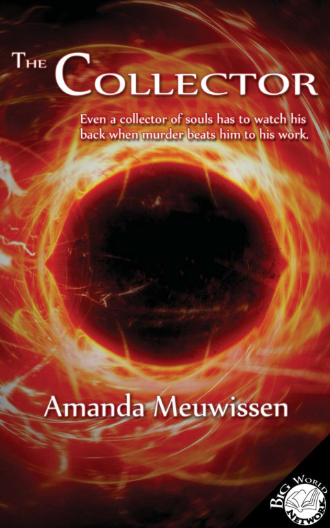 Cover image for book The Collector