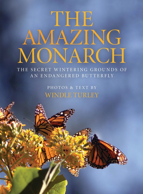 Cover image for book The Amazing Monarch