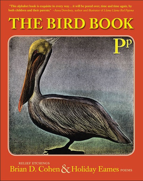 Cover image for book The Bird Book