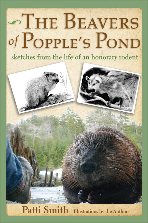 Cover image for book The Beavers of Popple's Pond