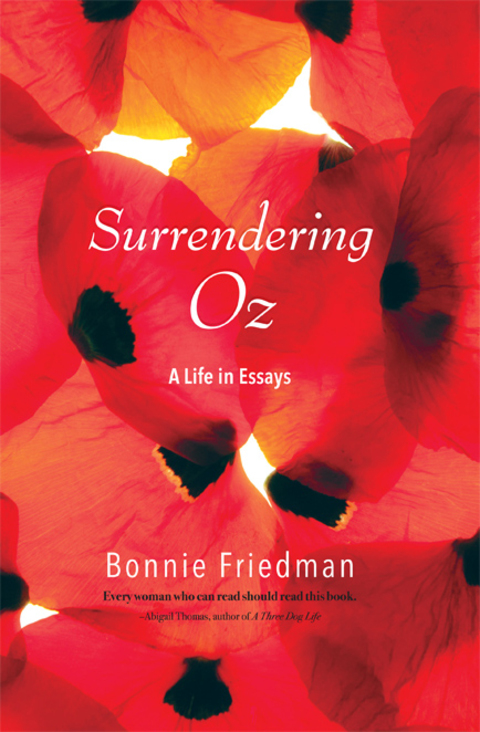 Cover image for book Surrendering Oz