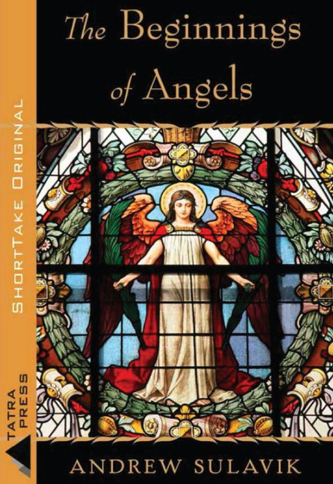 Cover image for book The Beginnings of Angels