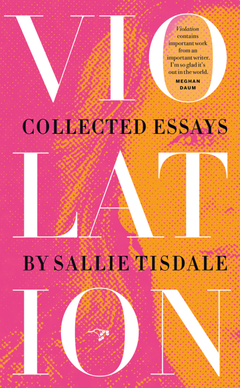 Cover image for book Violation