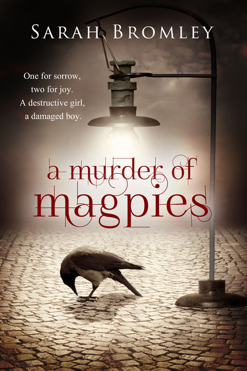 Cover image for book A Murder of Mgpies