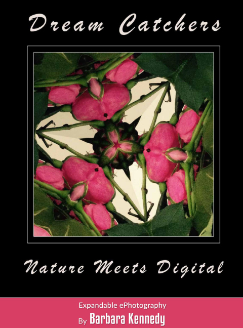 Cover image for book DREAM CATCHERS  -  Nature Meets Digital