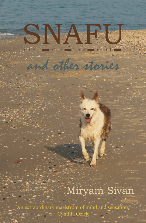 Cover image for book SNAFU and Other Stories
