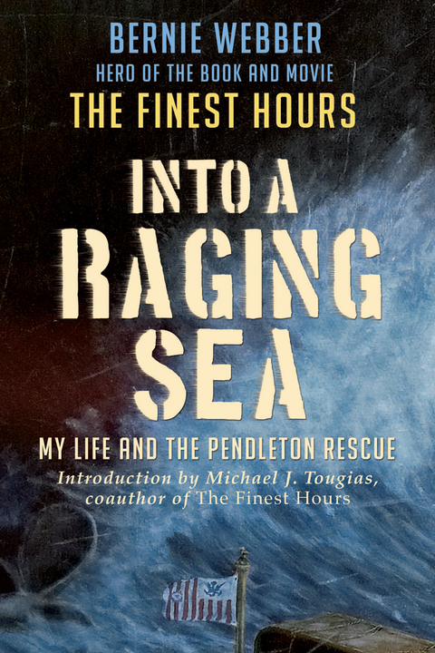 Cover image for book Into a Raging Sea