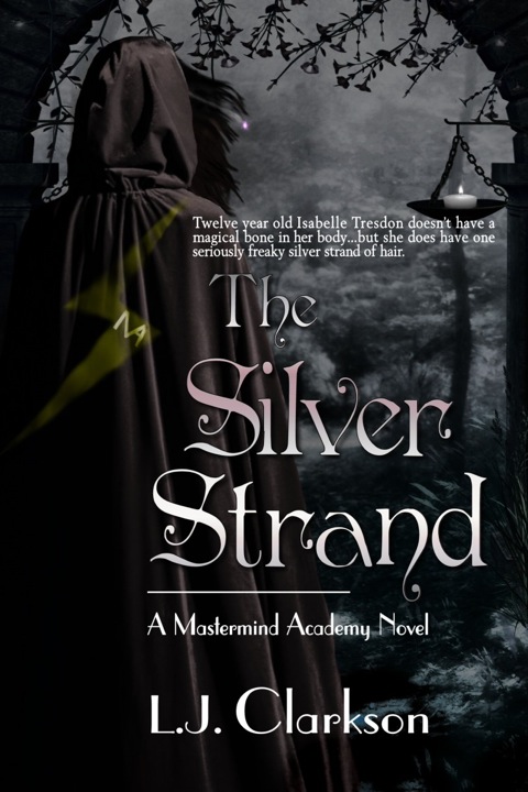 Cover image for book The Silver Strand