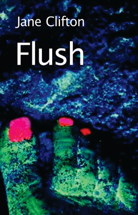 Cover image for book Flush