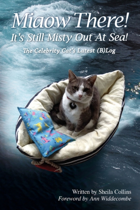 Cover image for book Miaow There! It's Still Misty Out At Sea!