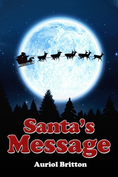 Cover image for book Santa's Message