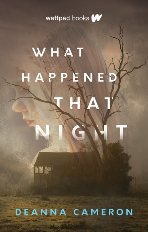 Cover image for book What Happened that Night