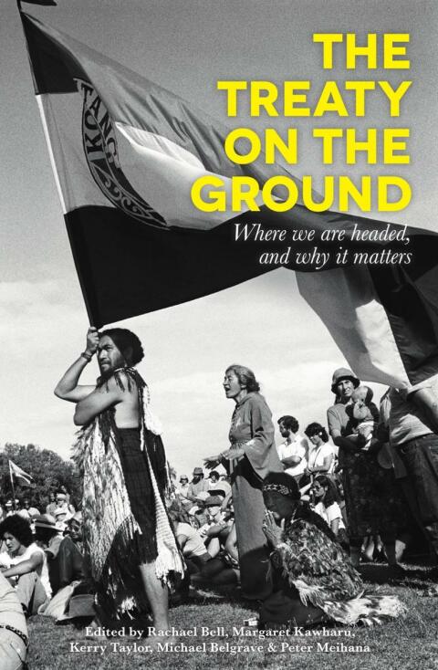 Cover image for book The Treaty on the Ground