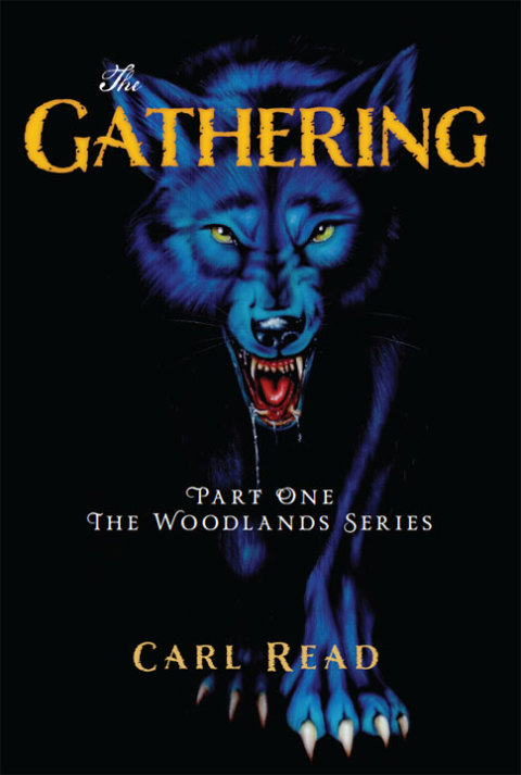 Cover image for book The Gathering