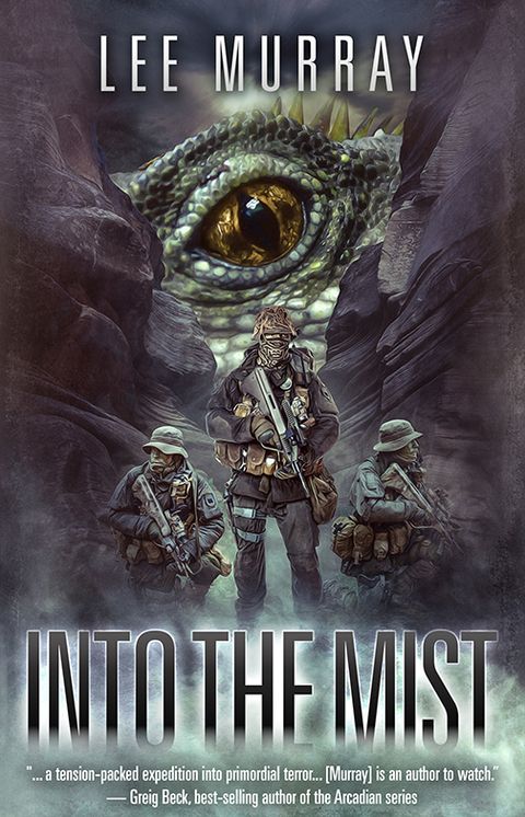 Cover image for book Into the Mist