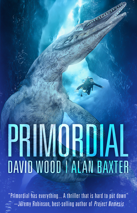Cover image for book Primordial