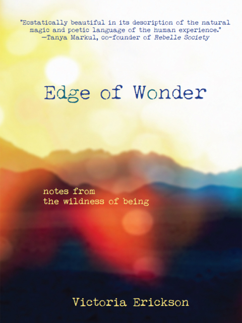 Cover image for book Edge of Wonder
