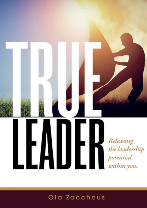 Cover image for book True Leader