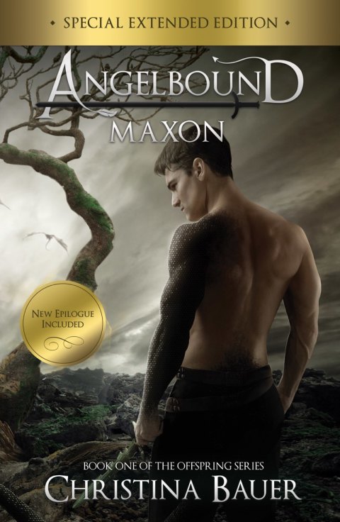 Cover image for book Maxon