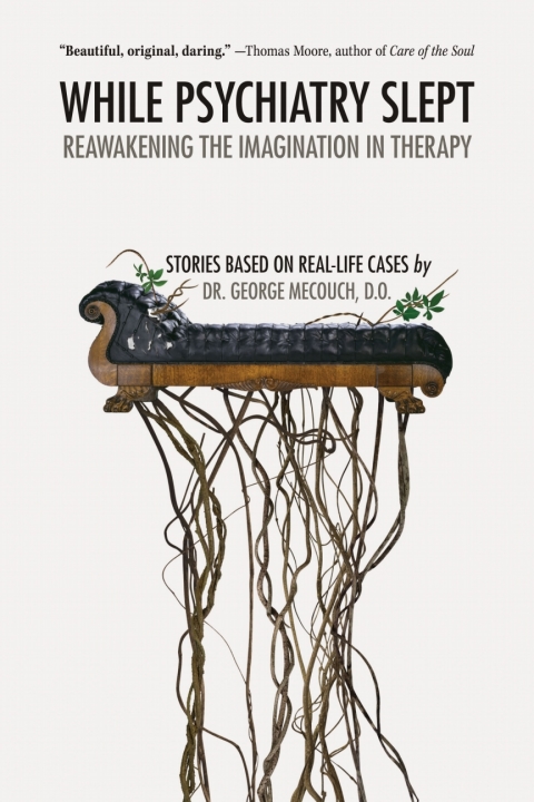 Cover image for book While Psychiatry Slept