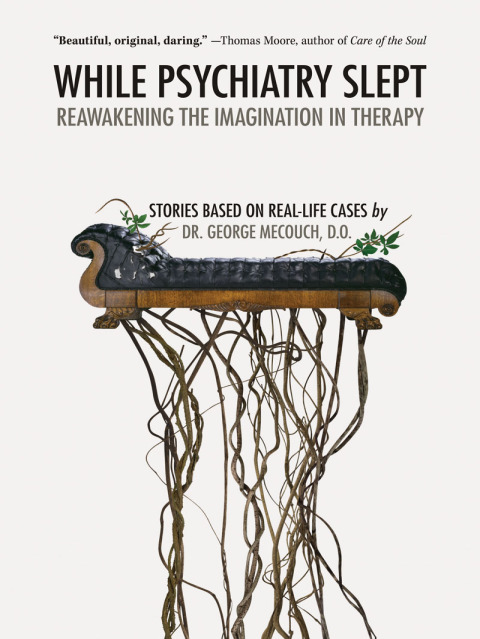 Cover image for book While Psychiatry Slept