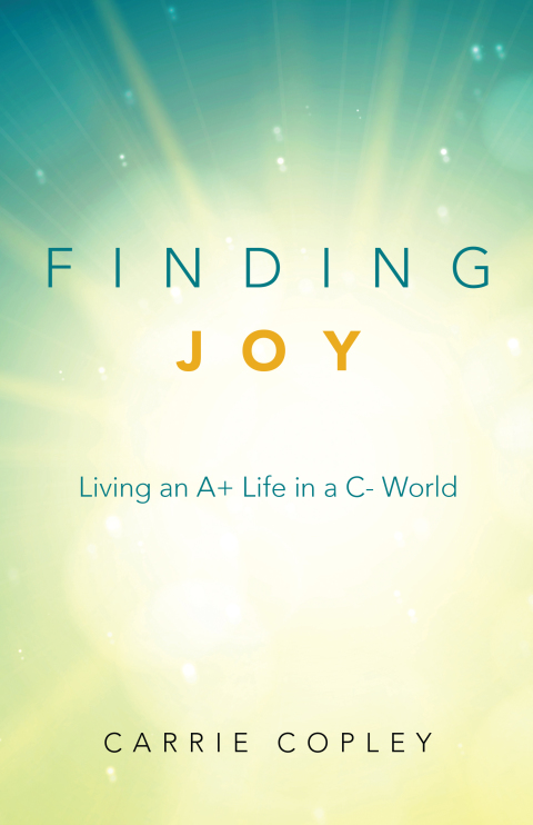 Cover image for book Finding Joy