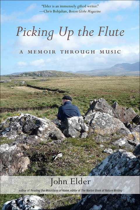 Cover image for book Picking Up The Flute