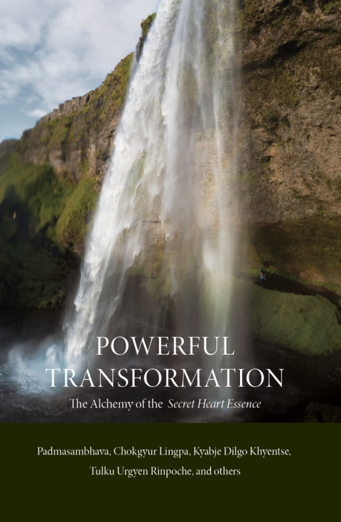 Cover image for book Powerful Transformation