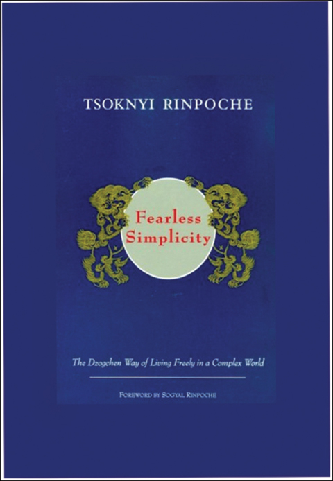 Cover image for book Fearless Simplicity