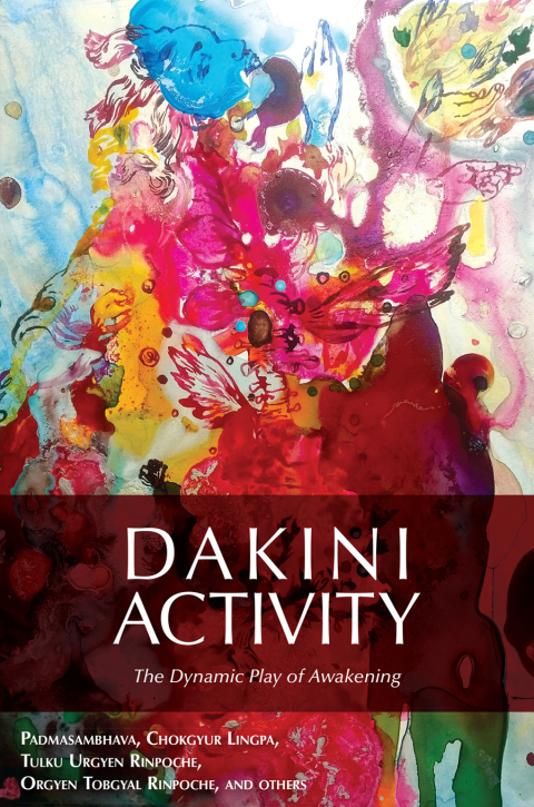 Cover image for book Dakini Activity