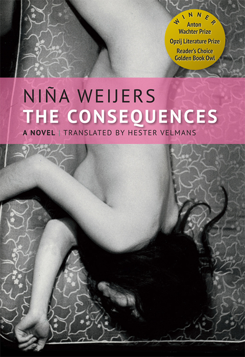 Cover image for book The Consequences