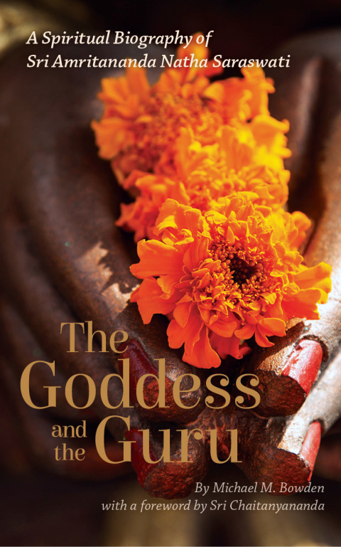 Cover image for book The Goddess and the Guru