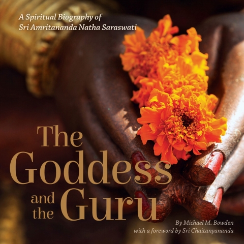 Cover image for book The Goddess and the Guru
