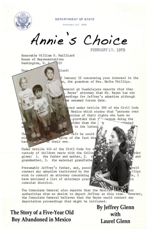 Cover image for book Annie's Choice