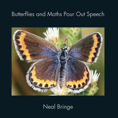 Cover image for book Butterflies and Moths Pour Out Speech