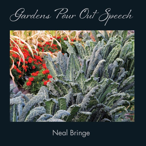 Cover image for book Gardens Pour Out Speech