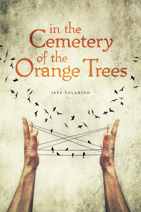 Cover image for book In the Cemetery of the Orange Trees