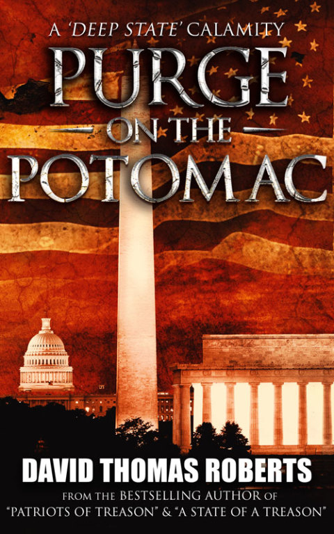 Cover image for book Purge on the Potomac