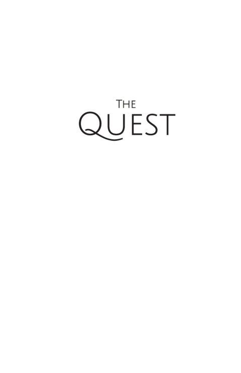 Cover image for book The Quest: Exploring Creation's Hardest Problems