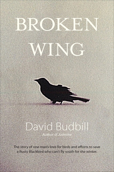 Cover image for book Broken Wing