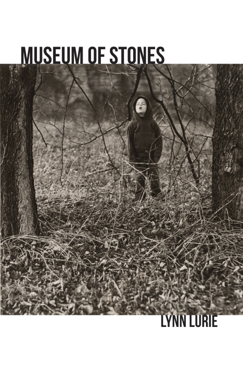 Cover image for book Museum of Stones