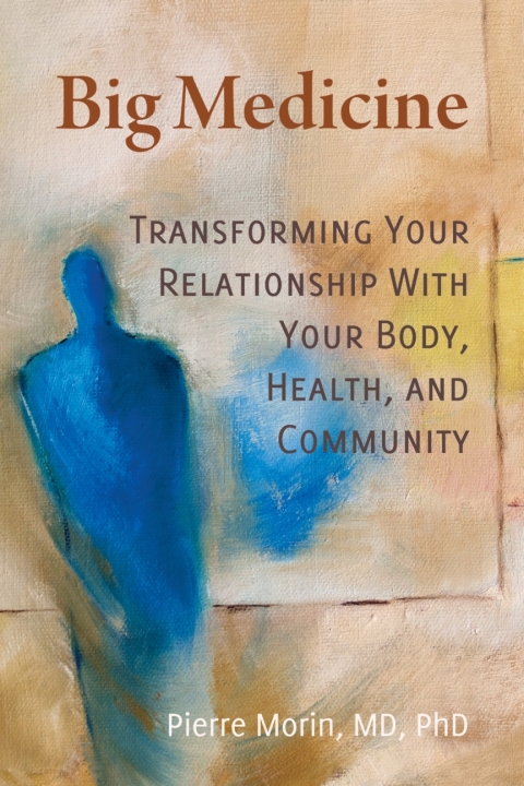 Cover image for book Big Medicine