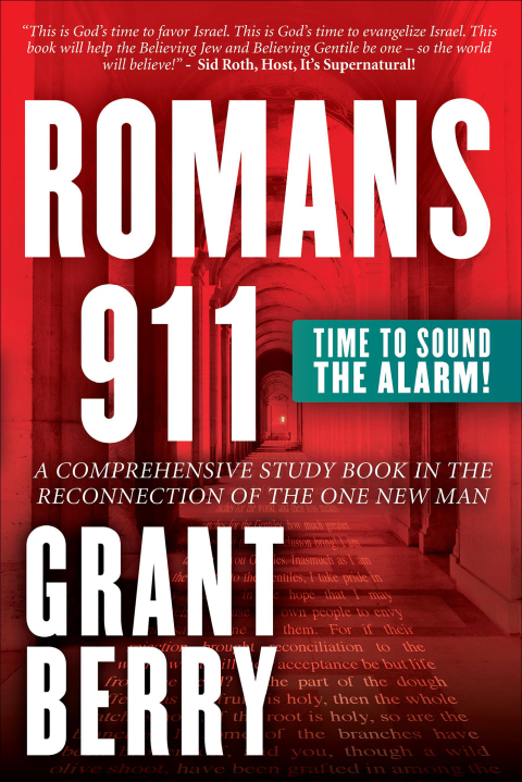 Cover image for book Romans 911