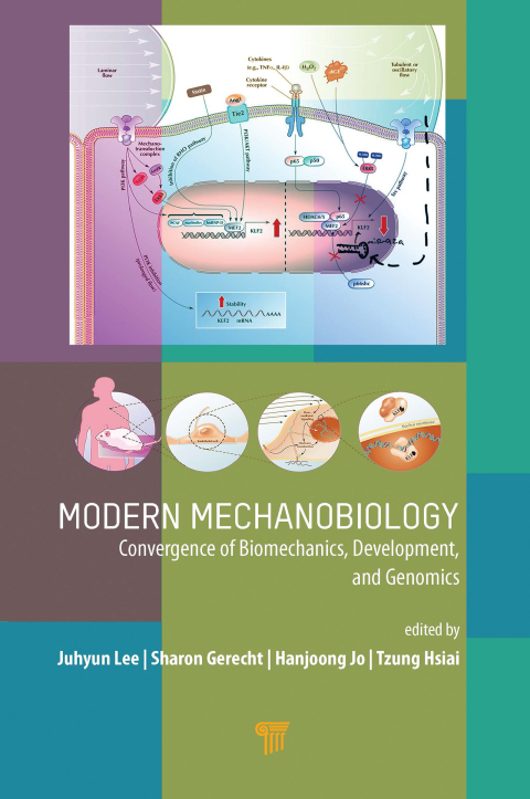 Modern Mechanobiology 