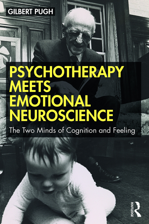 Cover image for book Psychotherapy Meets Emotional Neuroscience